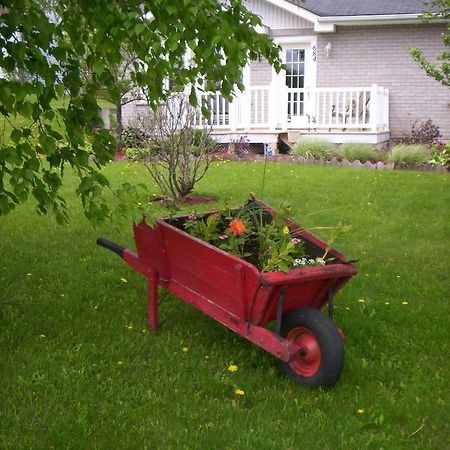 Gite Au P'Tit Bonheur B&B コアティクック エクステリア 写真